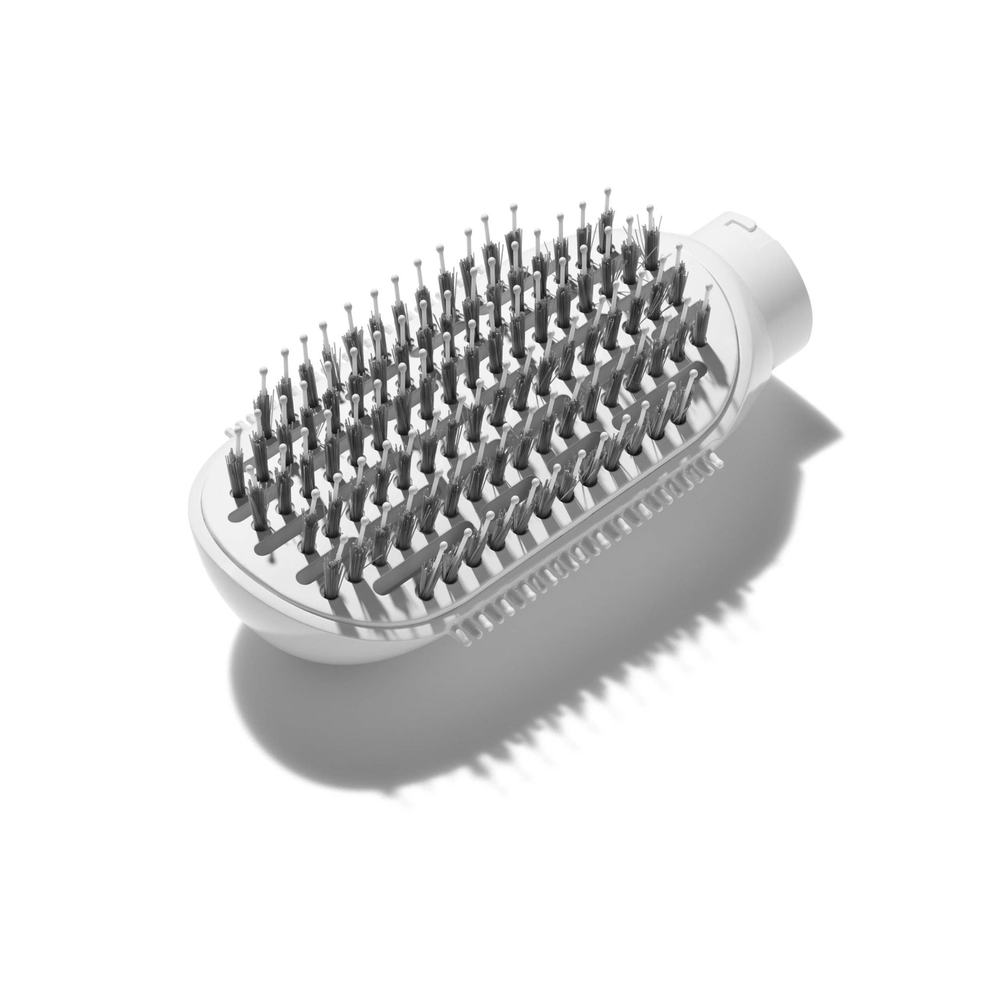 /a/b/abd_paddlebrush_2400x2400-2.jpg